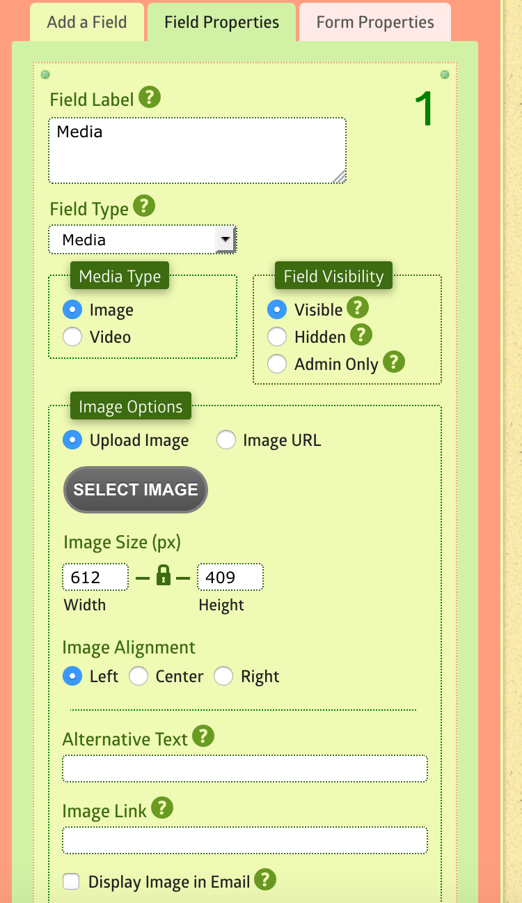 Media Field - Image